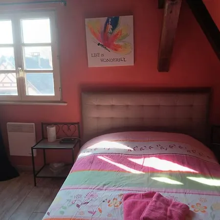 Les Papillons Ribeauvillé