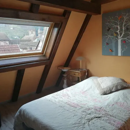 Les Papillons Apartment Ribeauvillé