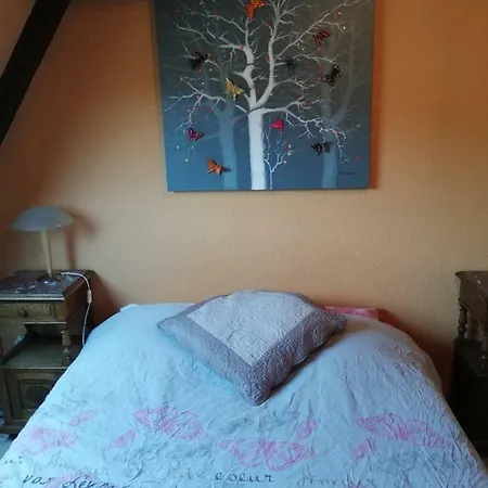 Les Papillons Apartment Ribeauvillé