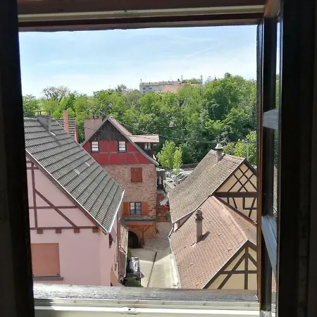 Les Papillons Appartamento Ribeauvillé