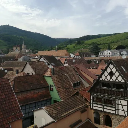 Les Papillons Appartamento Ribeauvillé