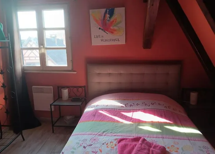 Les Papillons Ribeauvillé