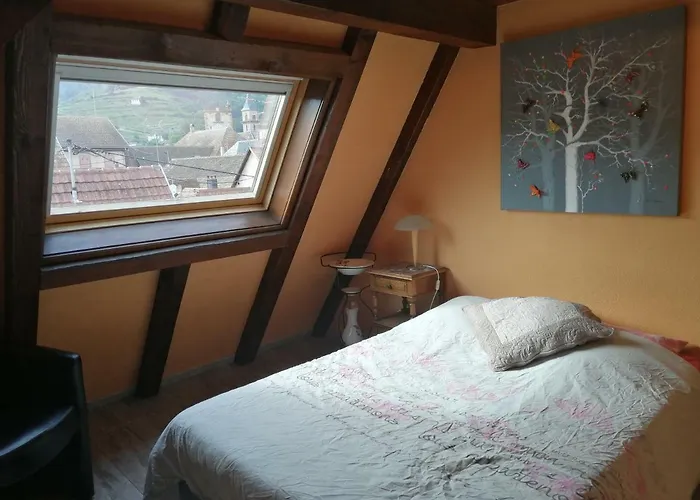 Les Papillons Apartmán Ribeauvillé