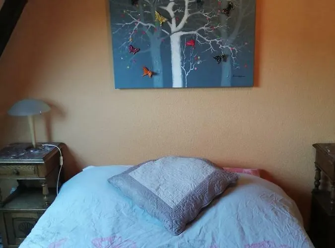 Les Papillons Apartmán Ribeauvillé