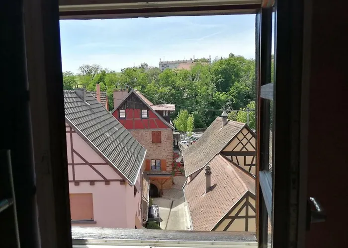 Les Papillons Apartmán Ribeauvillé