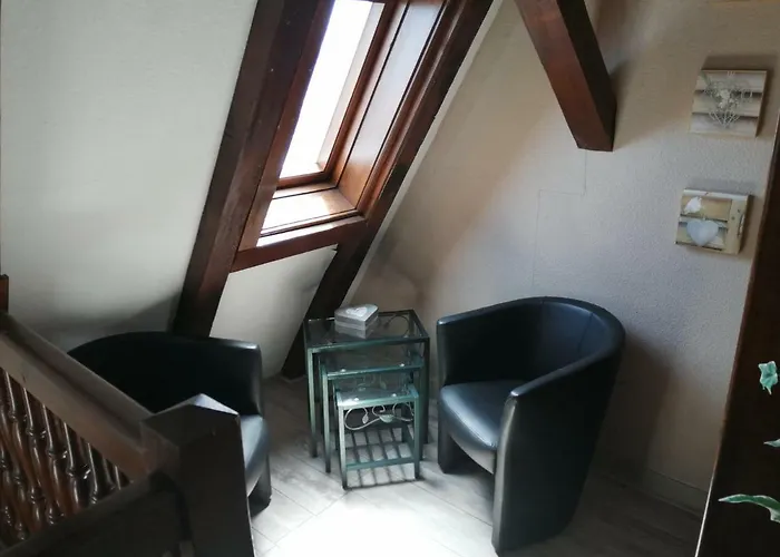 Les Papillons Ribeauvillé