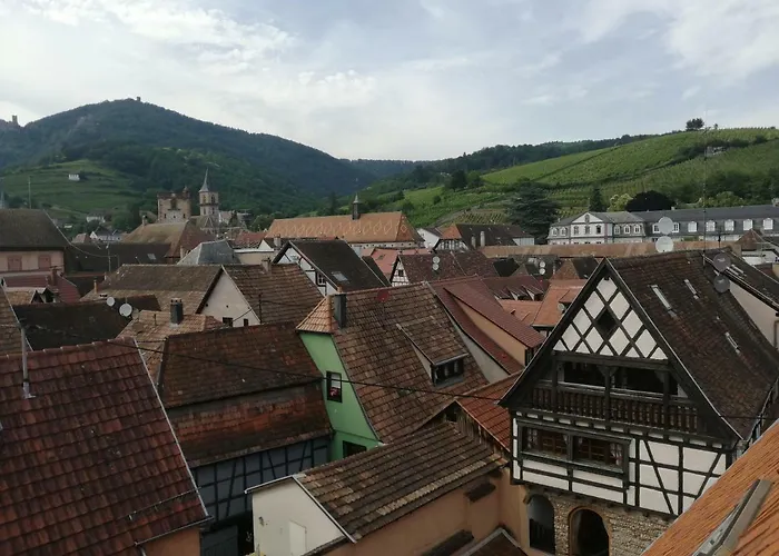 Les Papillons Apartmán Ribeauvillé